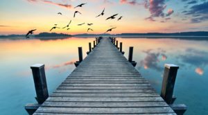 Dock with birds flying in sky - Estate Planning in North Carolina