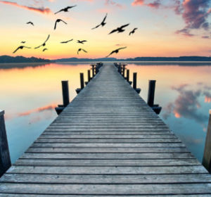 Dock with birds flying in sky - Estate Planning in North Carolina